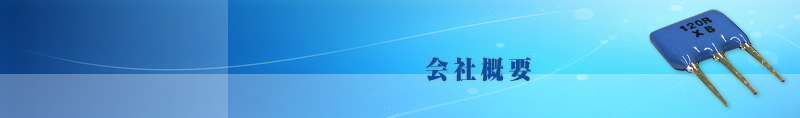 ЊTv